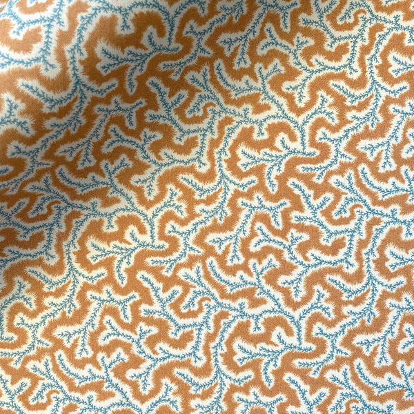 Dulcie