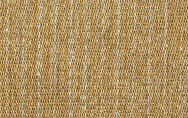 Lambro - Daffodil