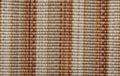 Marrah - Quiver Tree
