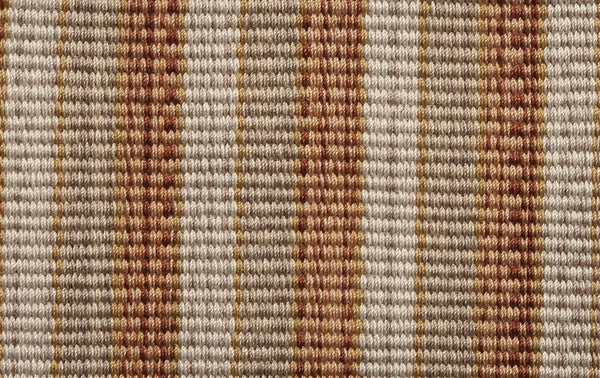 Marrah - Quiver Tree