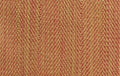 Adda - Coral