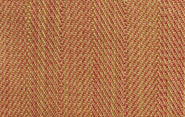 Adda - Coral