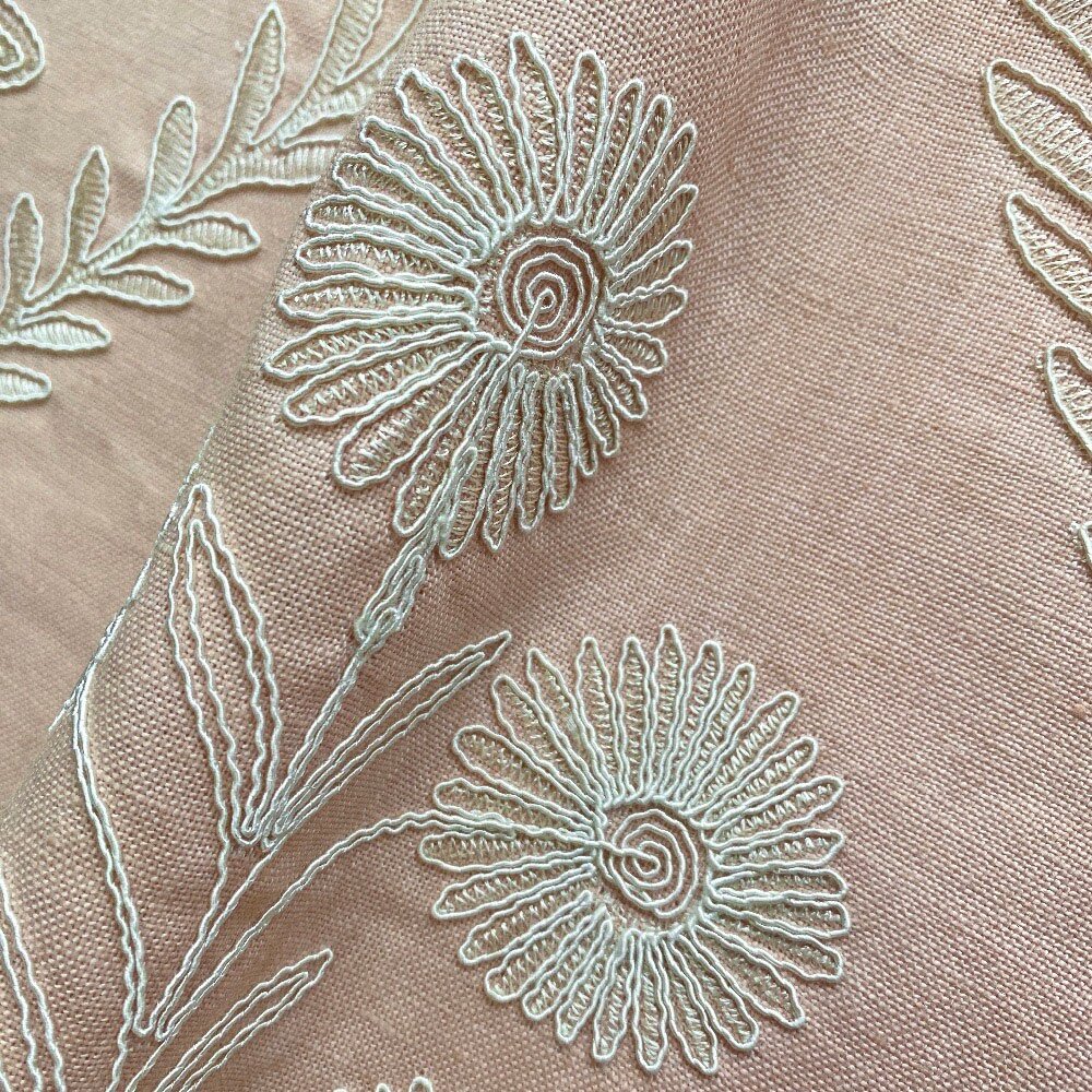 Persian Daisy
