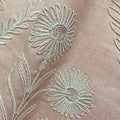 Persian Daisy