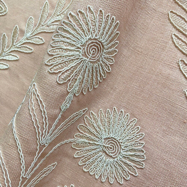 Persian Daisy