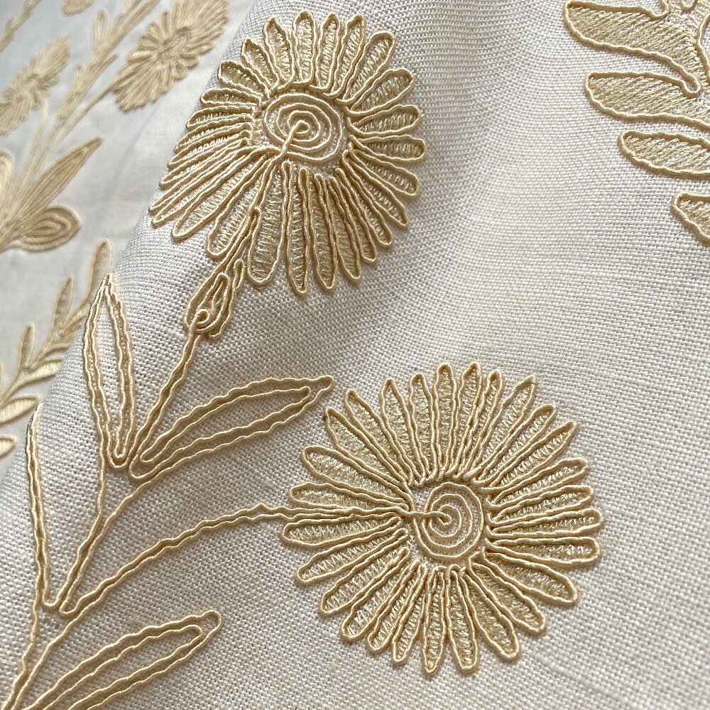 Persian Daisy