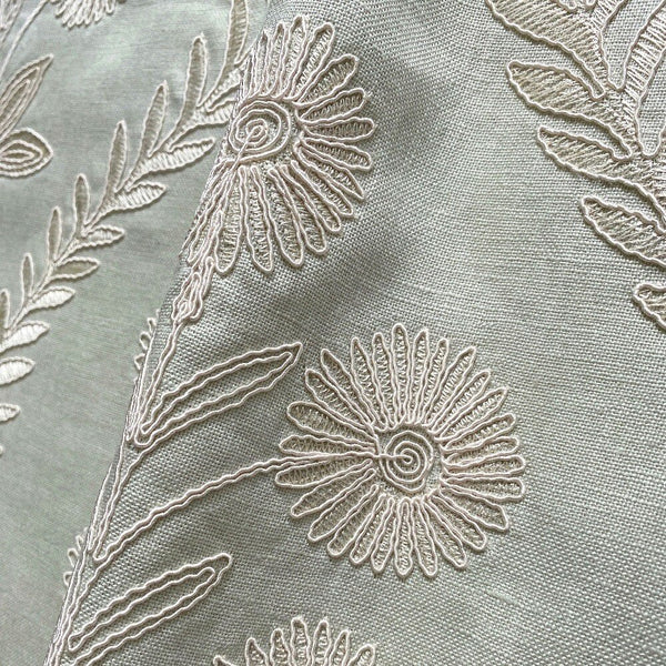 Persian Daisy