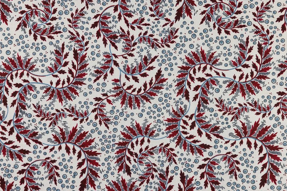 Daintree Wallpaper