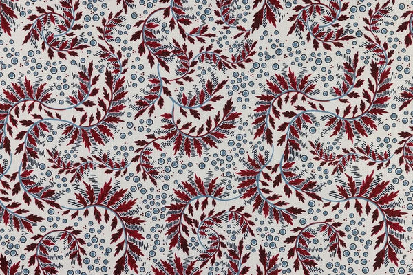 Daintree Wallpaper