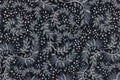 Daintree Wallpaper