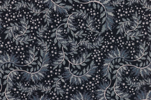 Daintree Wallpaper