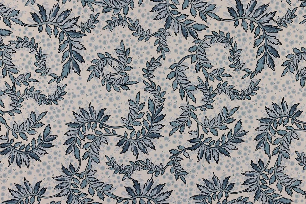 Daintree Wallpaper