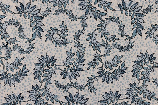 Daintree Wallpaper
