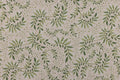 Daintree Wallpaper