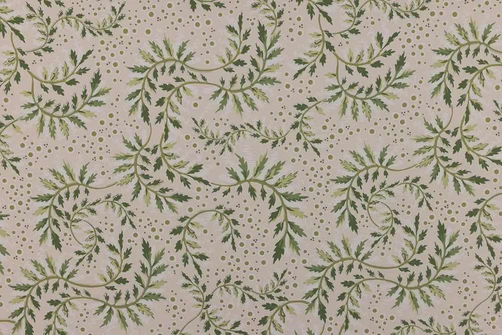 Daintree Wallpaper