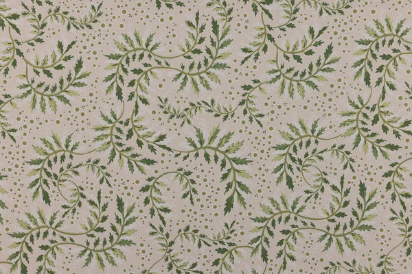 Daintree Wallpaper