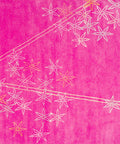 Allium