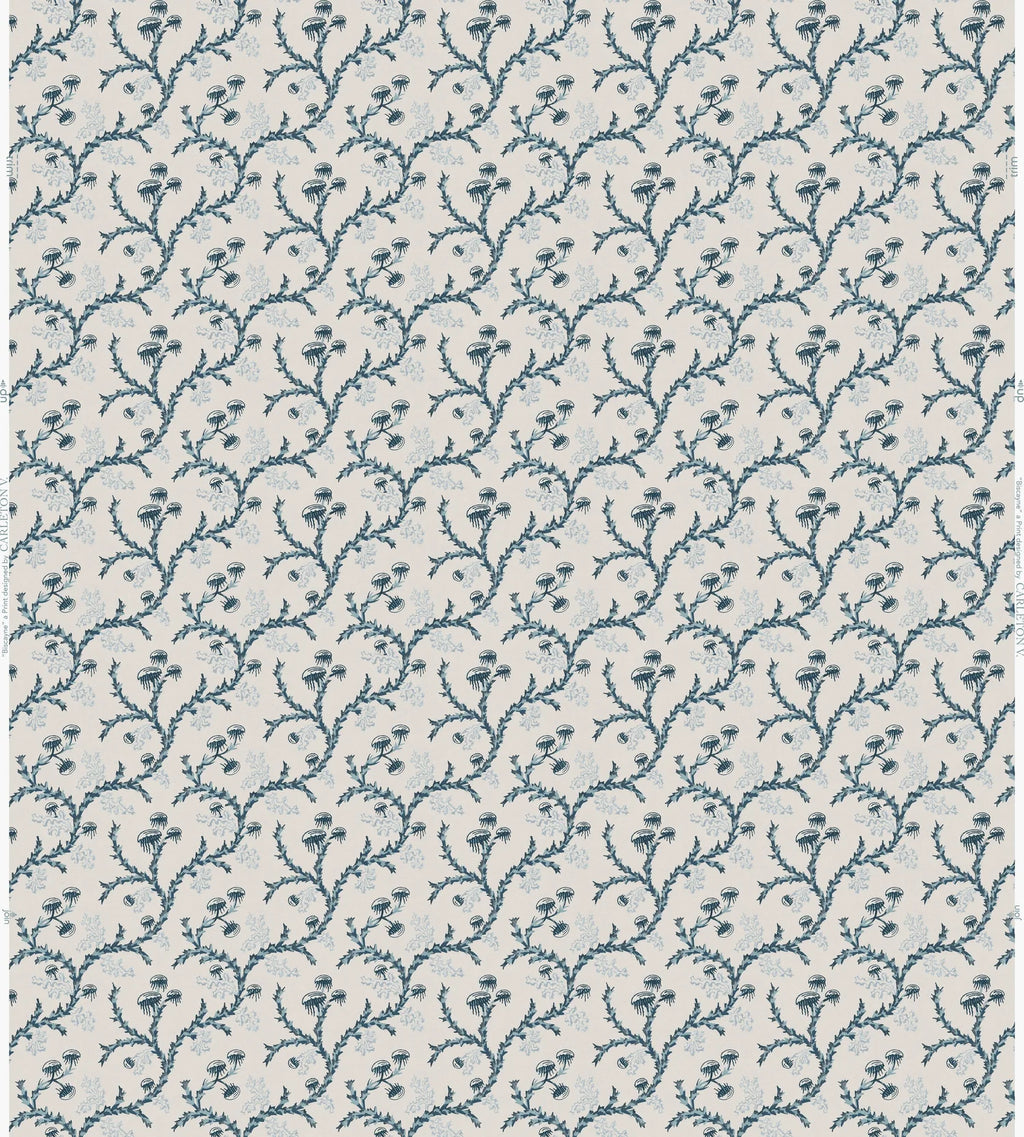Biscayne Wallpaper *NEW*