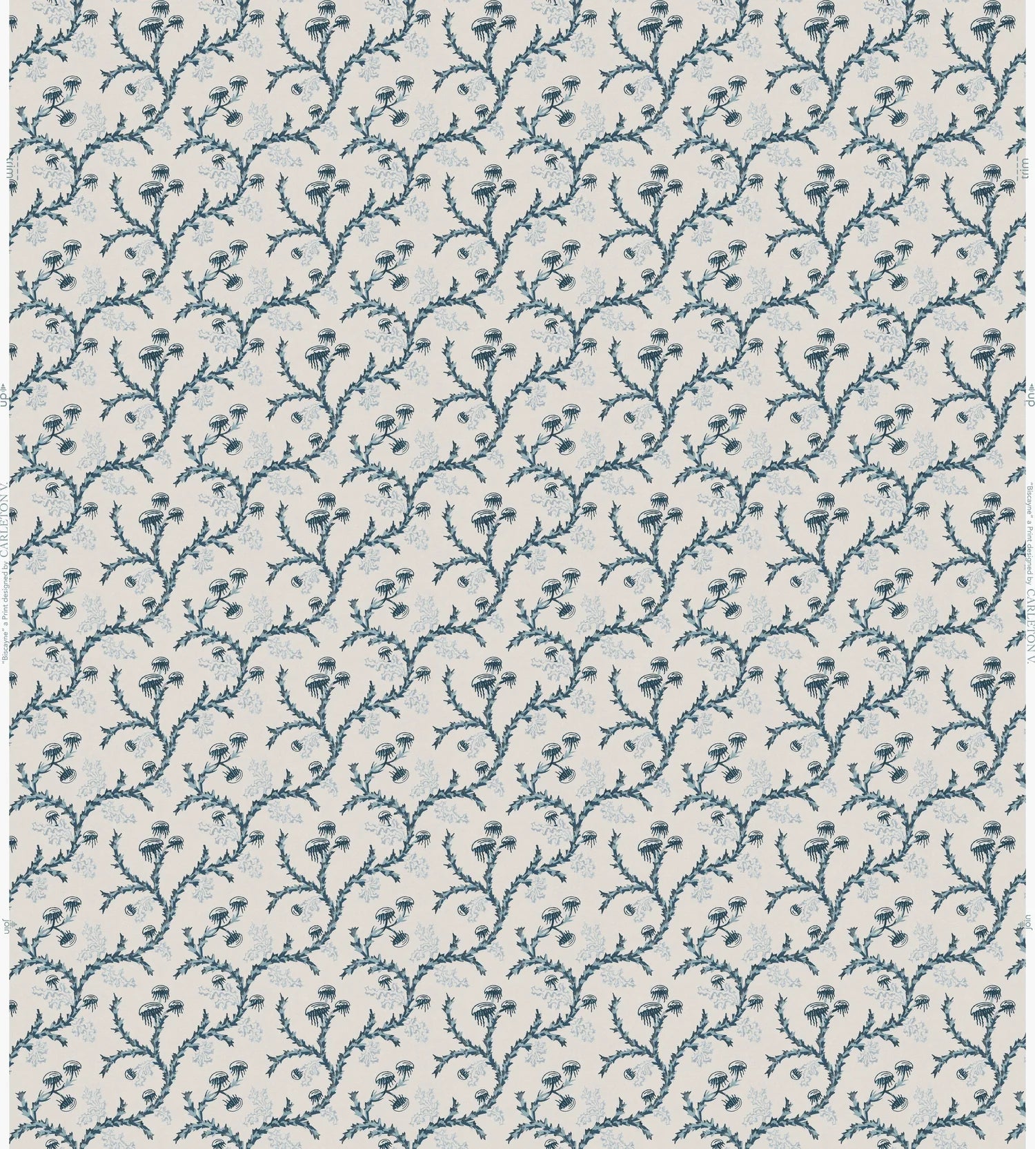 Biscayne Wallpaper *NEW*