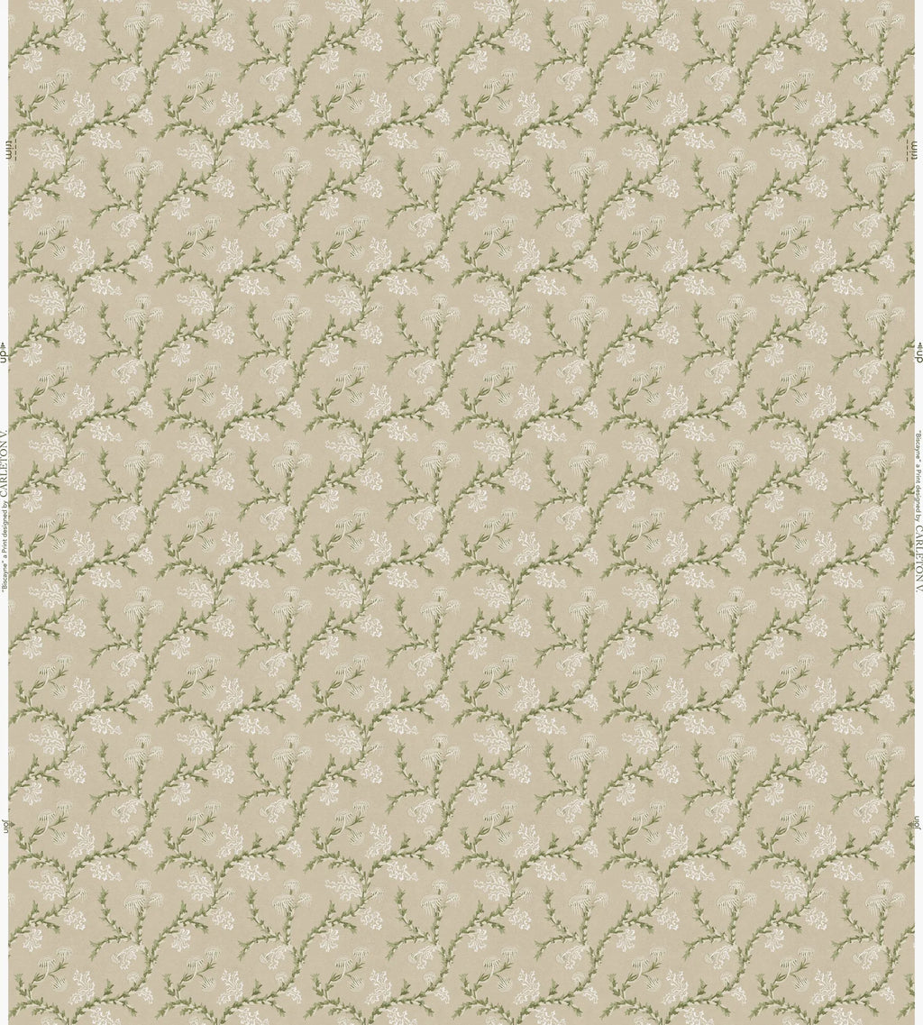 Biscayne Wallpaper *NEW*