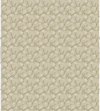 Biscayne Wallpaper *NEW*