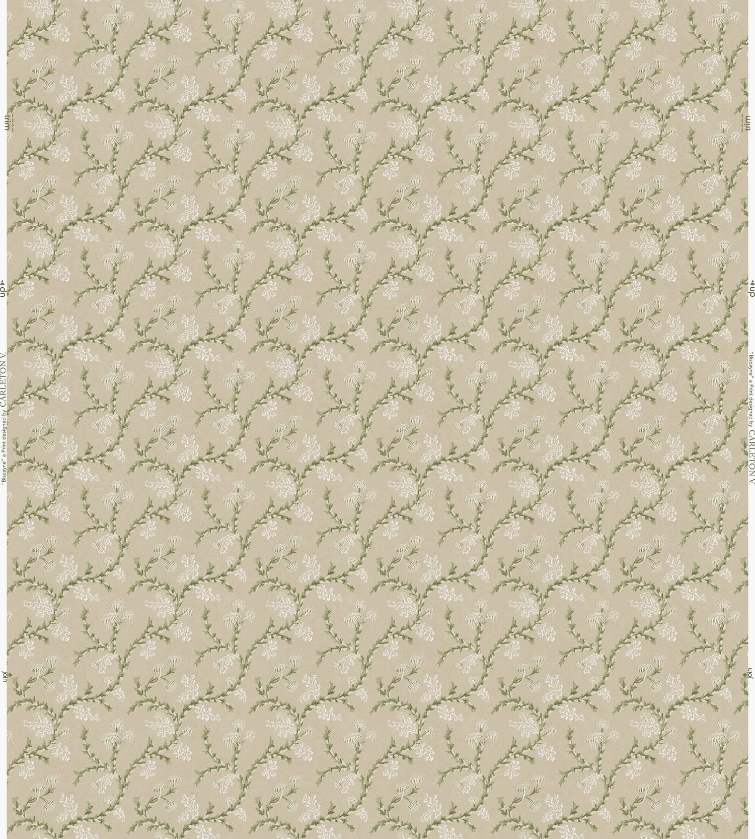 Biscayne Wallpaper *NEW*