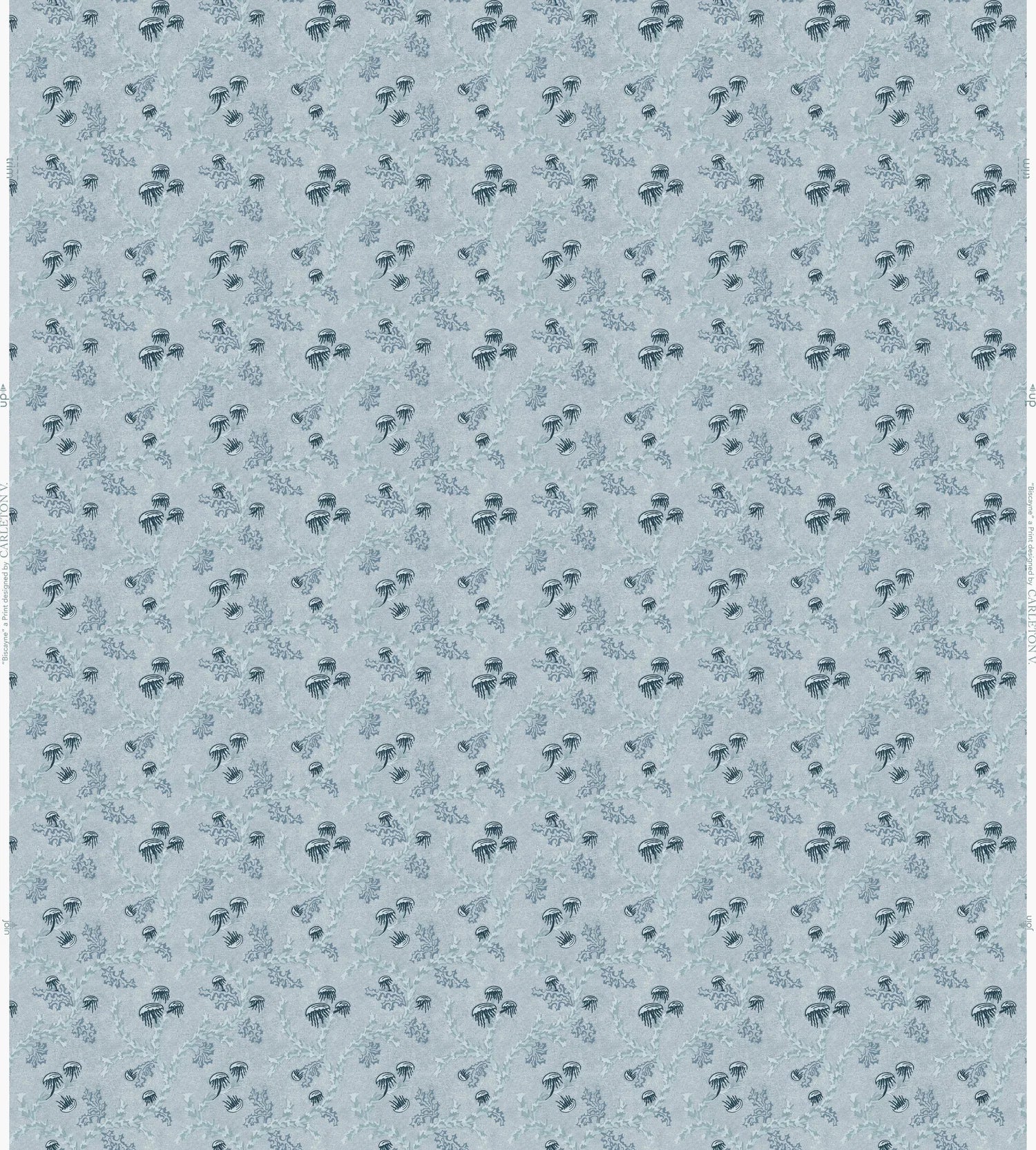 Biscayne Wallpaper *NEW*