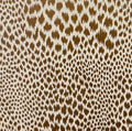 Madagascar Wallpaper
