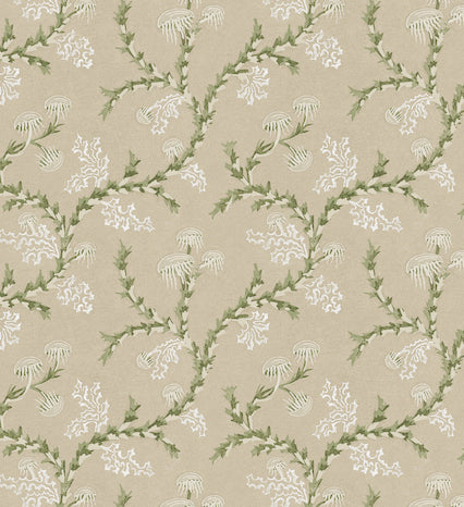 Biscayne Wallpaper *NEW*