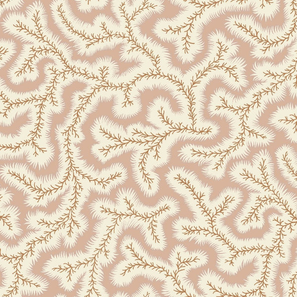 Big Dulcie Wallpaper
