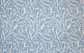 Kauri Wallpaper