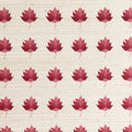 Kashi Grasscloth
