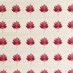 Kashi Grasscloth