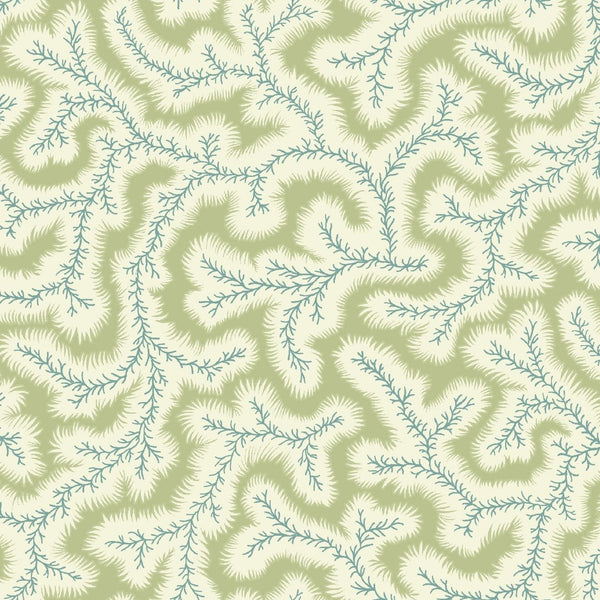Big Dulcie Wallpaper