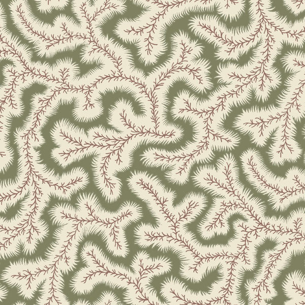 Big Dulcie Wallpaper