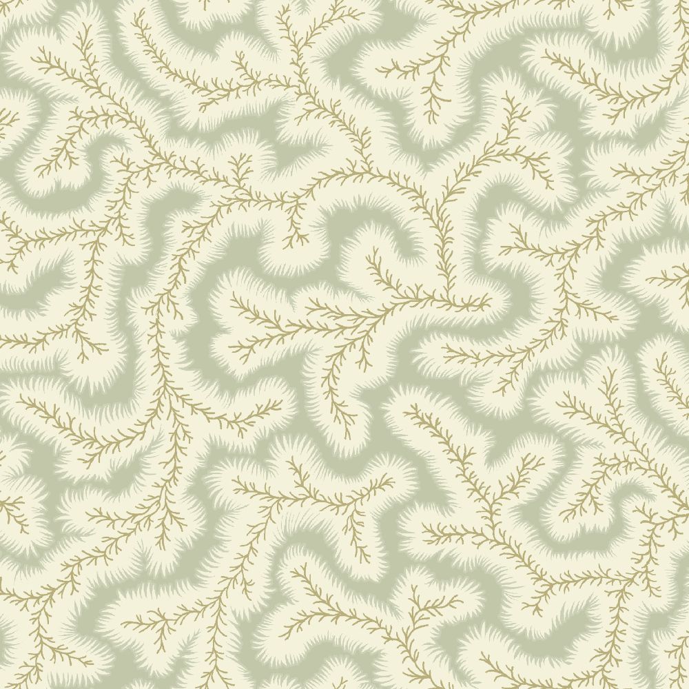 Big Dulcie Wallpaper