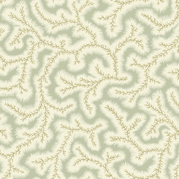 Big Dulcie Wallpaper