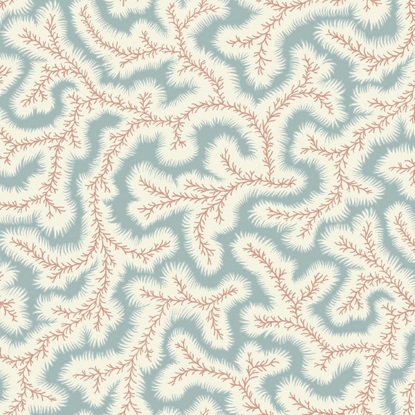 Big Dulcie Wallpaper