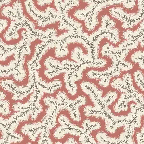 Big Dulcie Wallpaper