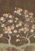 Peony Wallpaper - Wuthering Winds