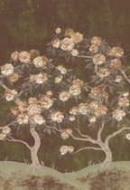 Peony Wallpaper - Wuthering Winds