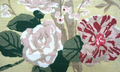 Elise