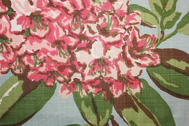 Rhododendron