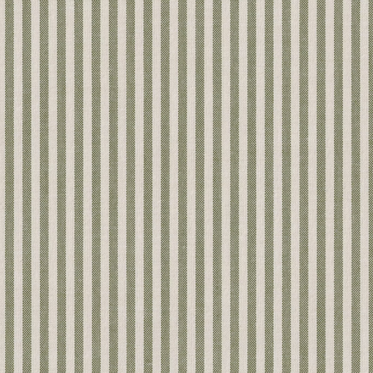 Rigo Stripe