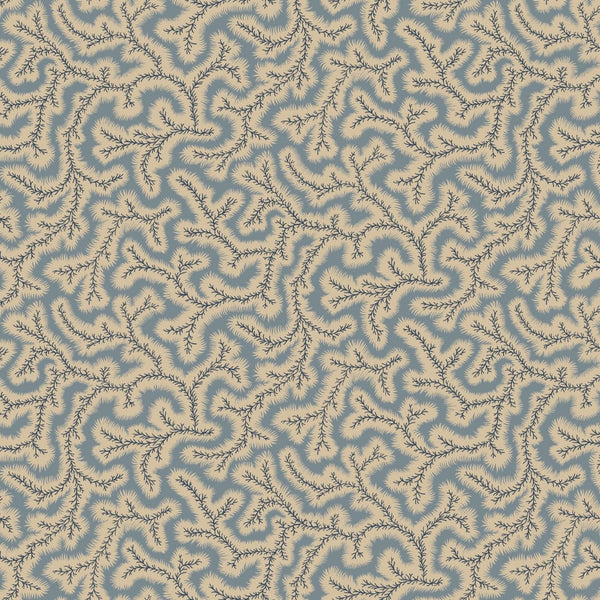 Little Dulcie Wallpaper