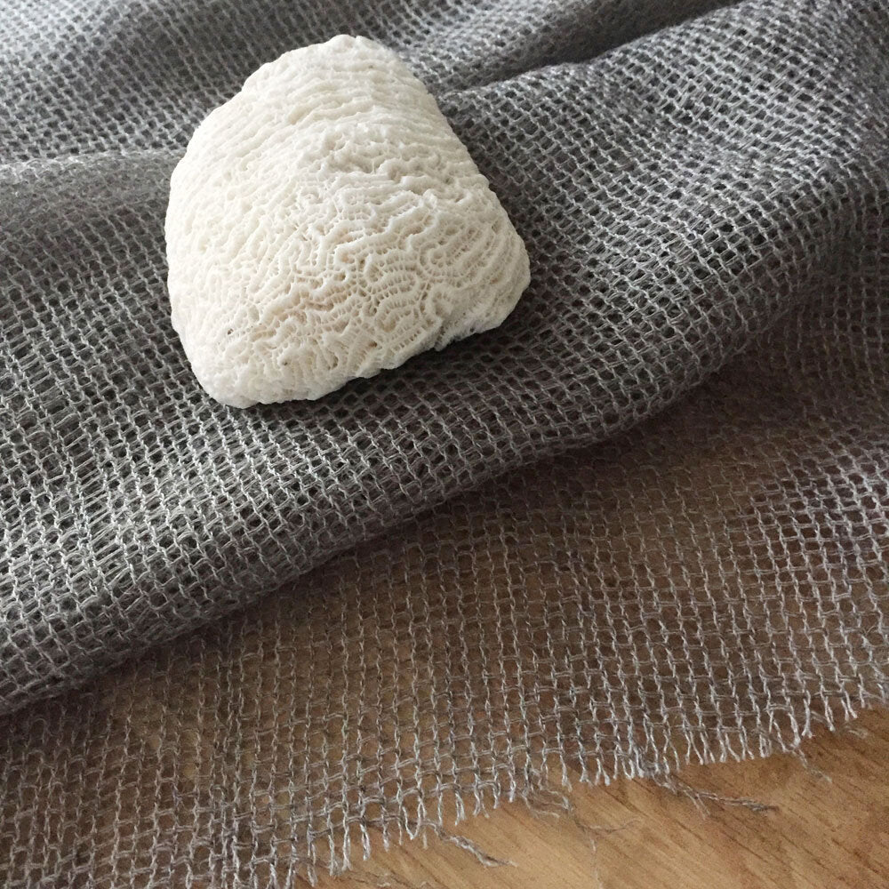 Ghostnet