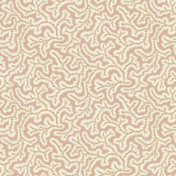 Little Dulcie Wallpaper