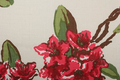 Rhododendron