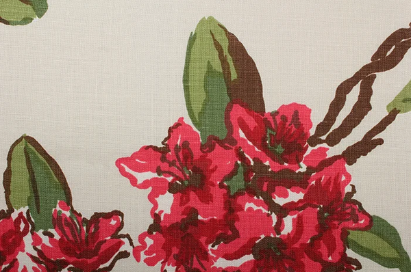 Rhododendron