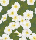 Field Rosa Fabric